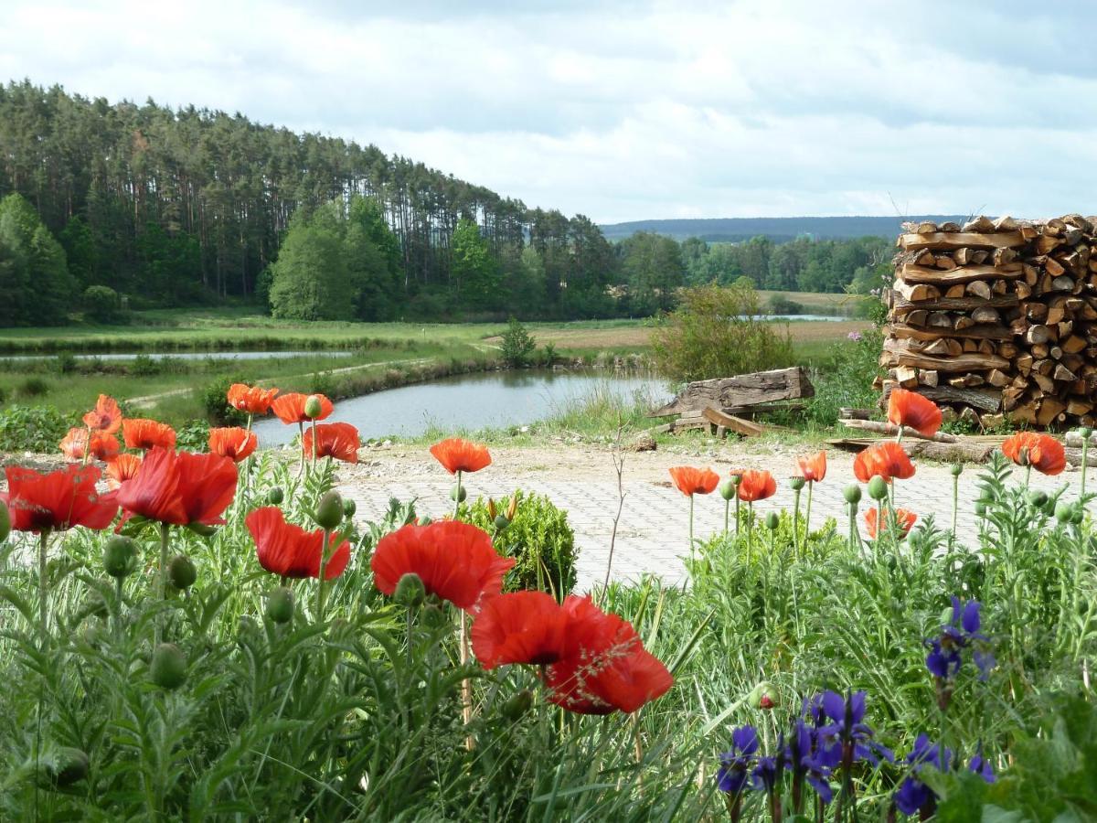Ferienwohnungen Am Buechlhof Im Oberpfaelzer Seenland Нойнбург форм Валд Екстериор снимка
