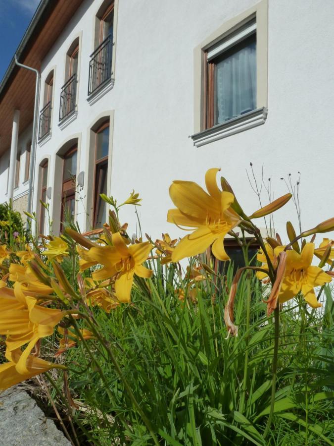 Ferienwohnungen Am Buechlhof Im Oberpfaelzer Seenland Нойнбург форм Валд Екстериор снимка